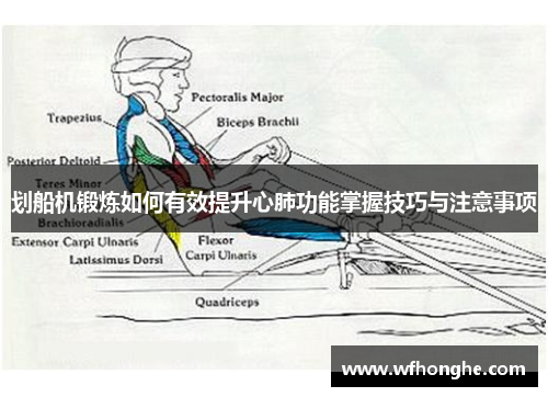 划船机锻炼如何有效提升心肺功能掌握技巧与注意事项