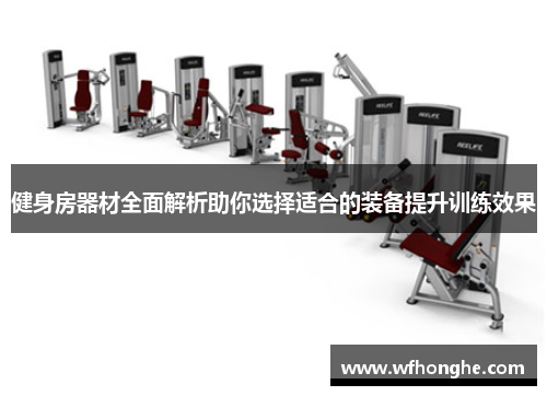 健身房器材全面解析助你选择适合的装备提升训练效果