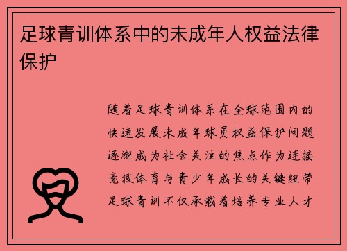足球青训体系中的未成年人权益法律保护